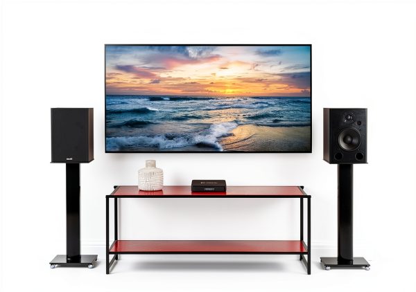 Bluetooth Bookshelf Speaker NEUMITECH BS5P-ARC Wood-2