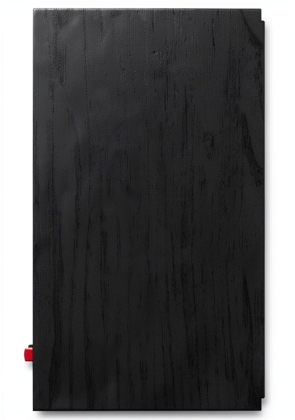 Bookshelf Speaker R-50M Black MDF for Home Theater-3