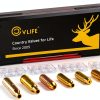 CVLIFE Laser Boresighter Kit for Handguns Black Modern Design-0
